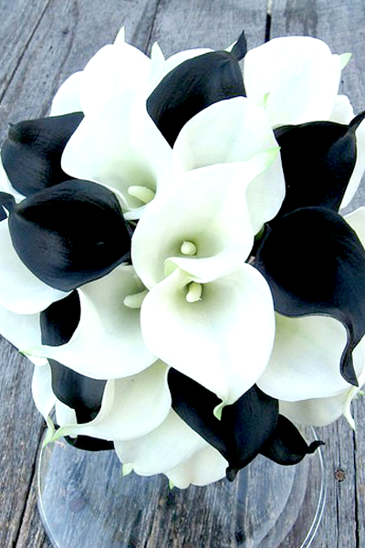 Black and White Wedding Bouquets | Ideas, Images 2017